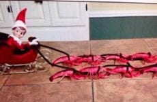 Ah yes Crawfish are so versatile