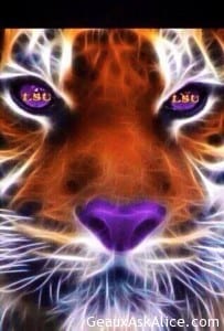 Geaux Tigers
