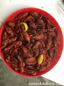 Crawfish Boil last night for hunters was a huge success!