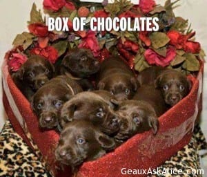 Happy Valentines Foodies1