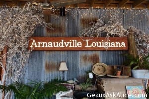 Thanks to Little Big Cup (Kevin, Sanjay, Ms Cricket and Staff) for a fabulous day!