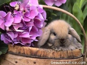 Okay everyone move over, this is my time! Hopping along happily!