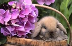 Okay everyone move over, this is my time! Hopping along happily!