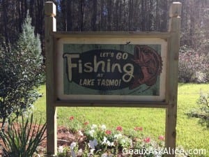 Beautiful morning for my walk! Have a great day!