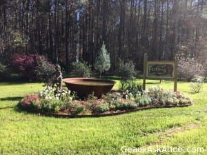 Beautiful morning for my walk! Have a great day!1