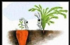 Just a reminder Kitchen Closed Today! Be back tomorrow! Enjoy your successes no matter how big or small ! Have a great day!