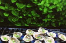 Today's Gadget from E's Kitchen in Lafayette, LA is the Flame-Friendly Ceramic Seafood Rack!