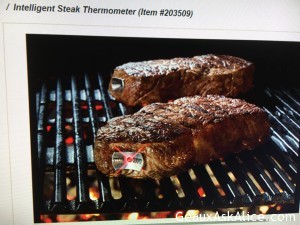 INTELLIGENT STEAK THERMOMETER