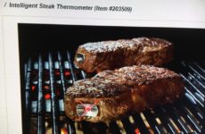 INTELLIGENT STEAK THERMOMETER