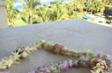 Legend of the leis: when u leave toss into the ocean. If it comes back to shore u will return to the islands. If it does not return you r destin for a new adventure. I like that ! Aloha