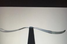 Shoo-Away Fly Free Entertaining