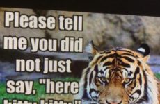 Only Forceful Storm I am looking forward to!