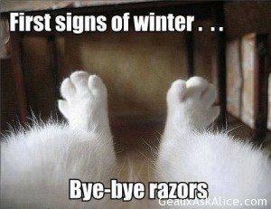 Our temp today qualifies as winter for me! Ah yes!