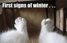 Our temp today qualifies as winter for me! Ah yes!