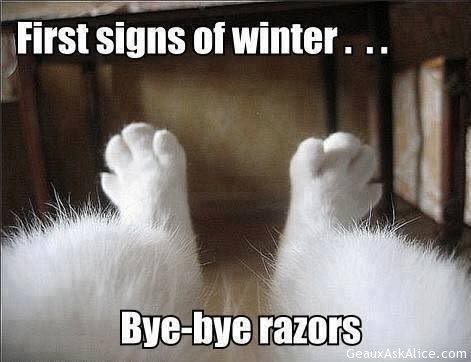 Our temp today qualifies as winter for me! Ah yes!