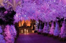 New Orleans at Christmas Time