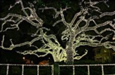 New Orleans at Christmas time!