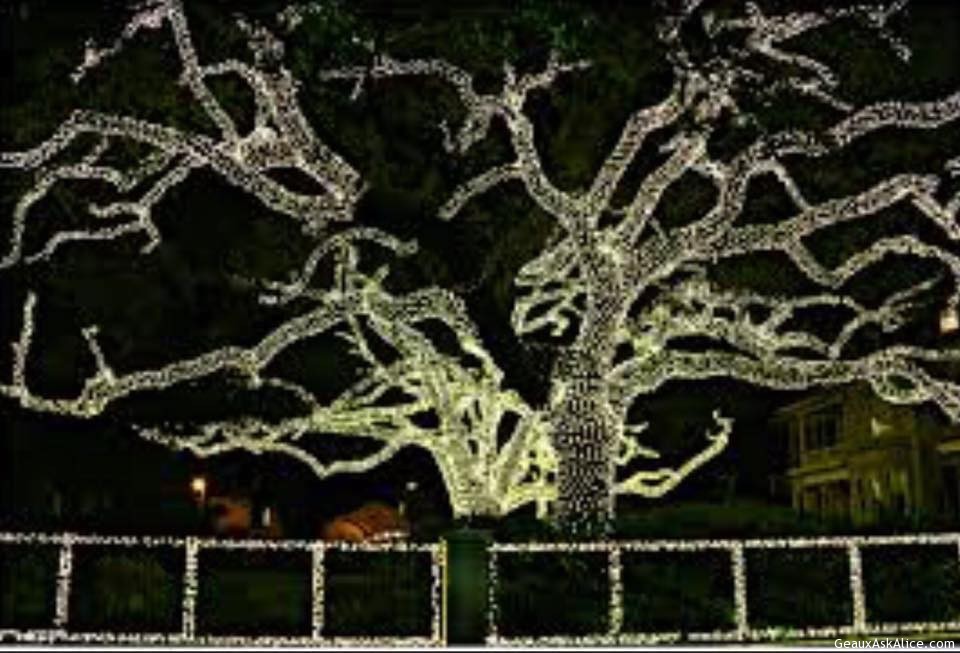 New Orleans at Christmas time!