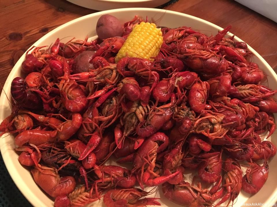Enjoying my first boiled crawfish last night! If u need a definite sign of Global Warming-this is mine!
