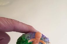 Trying to have portion control when it comes to those King Cakes! I think I found it!