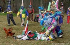 Chicken Chasing Time! No chicken is safe!