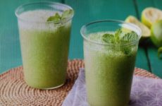 Chilly Frozen Mojito