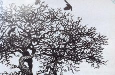 Geauxaskalice Anniversary Story!