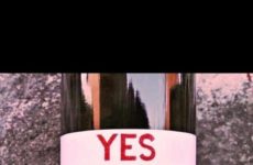 My PA, Mel, sent this to me. Must say I think that is an excellent Valentine gift!