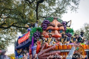 16864327_1136168686509277_4767408366243298338_n