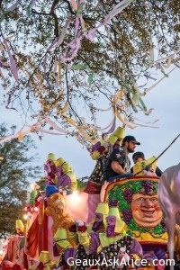 16938515_1136168736509272_7576370105835742823_n