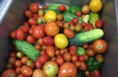 Must say this nice weather has made my garden this year bountiful!