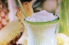 Refreshing Pina Colada