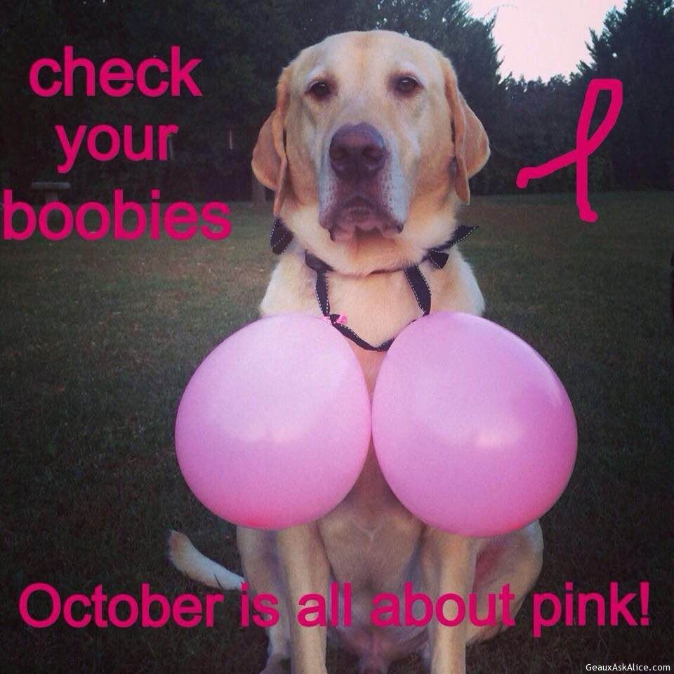 Check your boobies