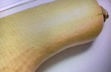 How not to let the Big Butternut Squash get the best of you!