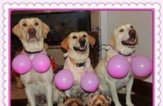 The gang is here to spread wise words!