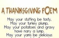 Happy Thanksgiving Foodies