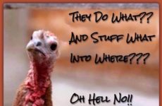 Thanksgiving Humor!