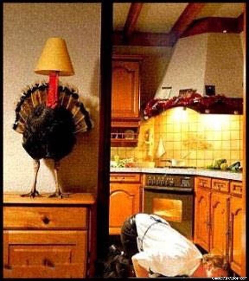 Today's Thanksgiving Humor!