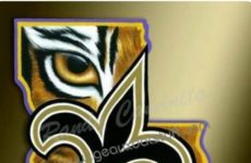 Yep a good weekend for my Tigers and those Amazing Saints!