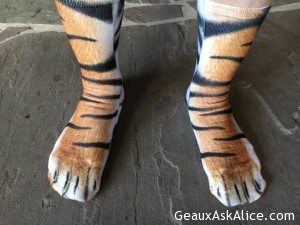 Yep we r all wearing the Tiger Leggings