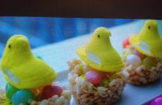 Easter Birds in a Nest!