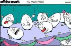 Easter Chuckle For The Day!