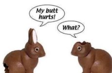 Easter Humor! My favorite!