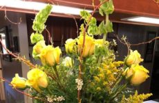 Had a most wonderful birthday! Thanks to all of you who sent beautiful birthday wishes! Made my day so glorious!