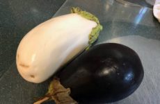 Got these two beautiful eggplants from one of Hubby’s secretaries.