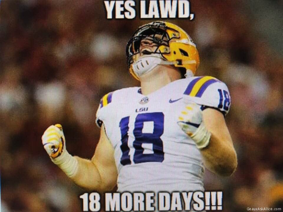 Oh yes so ready for my Tigers and any college football game. Tired of watching Shark Week-Month, etc!