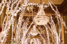 Christmas Decorations in NO