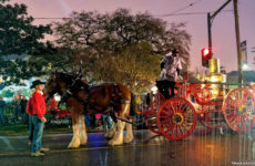 New Orleans Carriage Ride