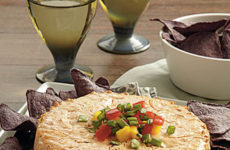 Savory Salsa Cheesecake