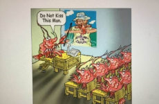 Crawfish preschool